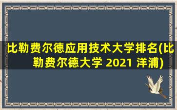 比勒费尔德应用技术大学排名(比勒费尔德大学 2021 洋浦)